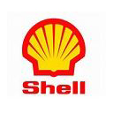 shell.jpg